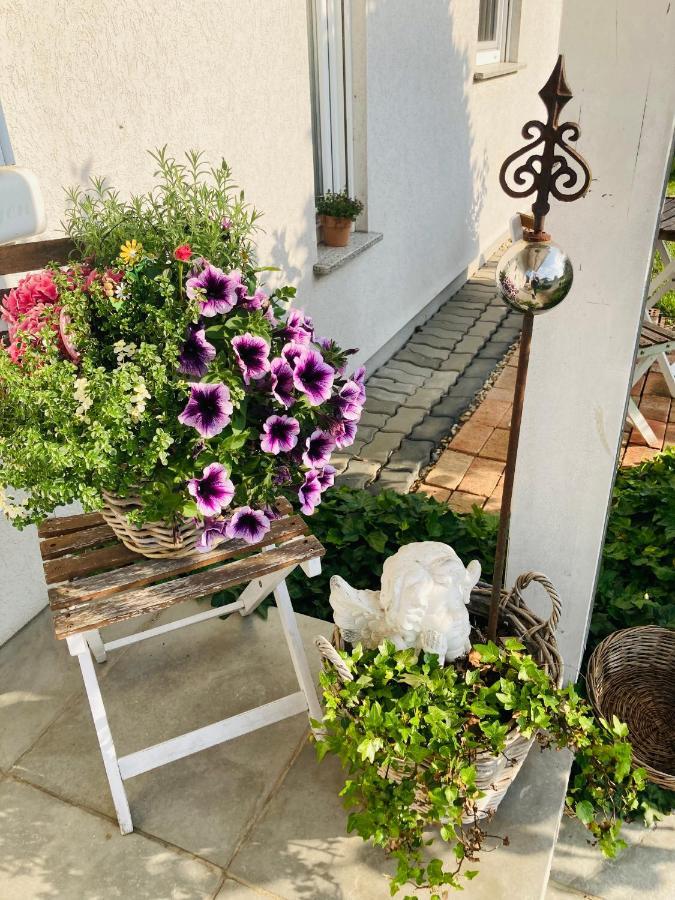 Das Ferienhaus-Zurueck Zum Ursprung Güssing Zewnętrze zdjęcie
